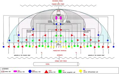 Defined Mathematical Relationships Among Cancer Cells Suggest Modular Growth in Tumor Progression and Highlight Developmental Features Consistent With a Para-Embryonic Nature of Cancer